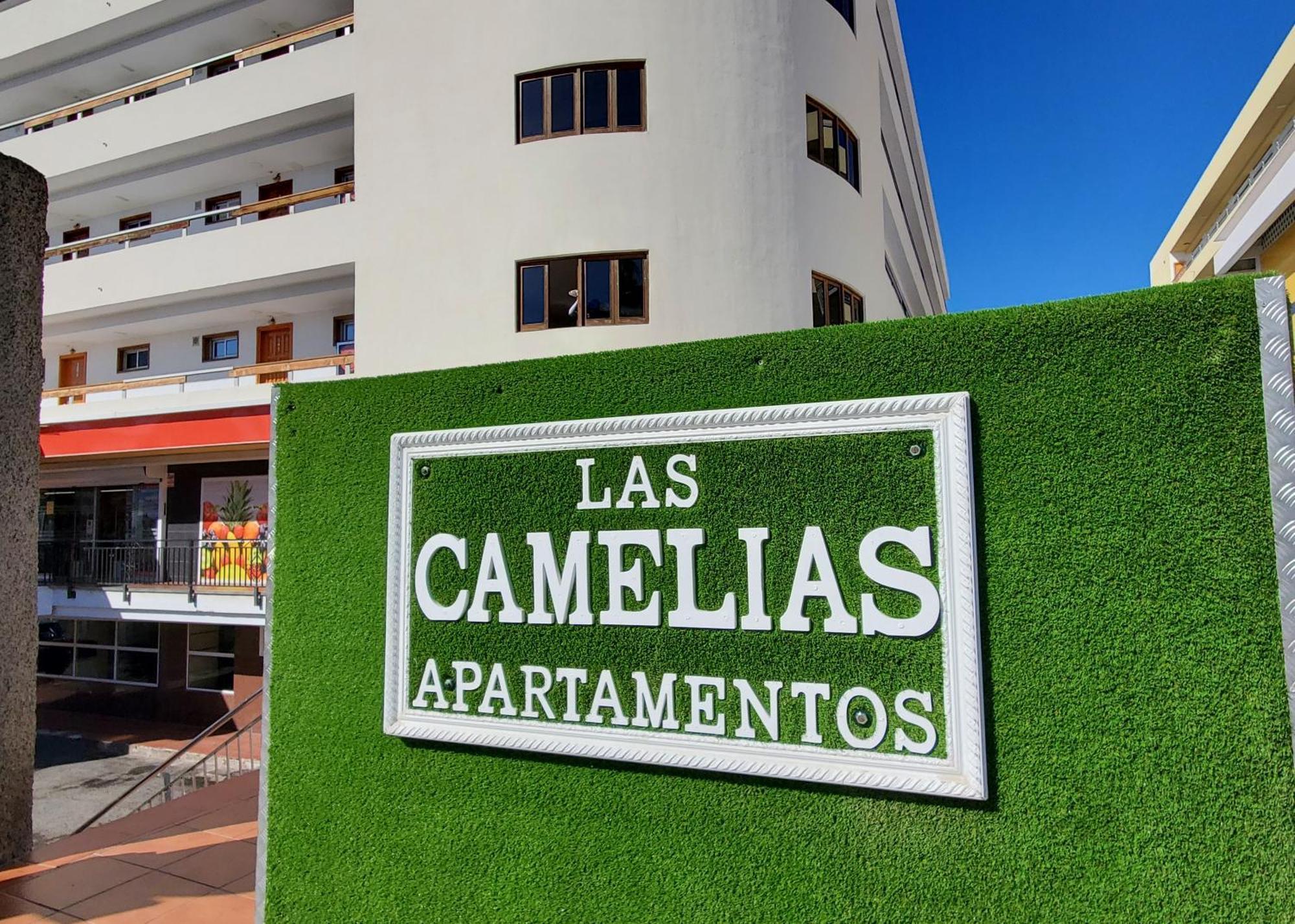 Appartement Camelias - -017 *